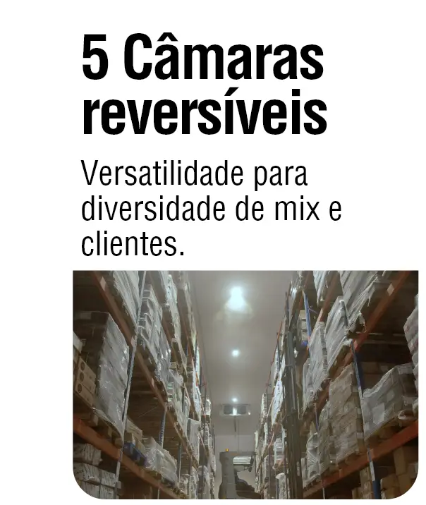 Câmaras reversíveis